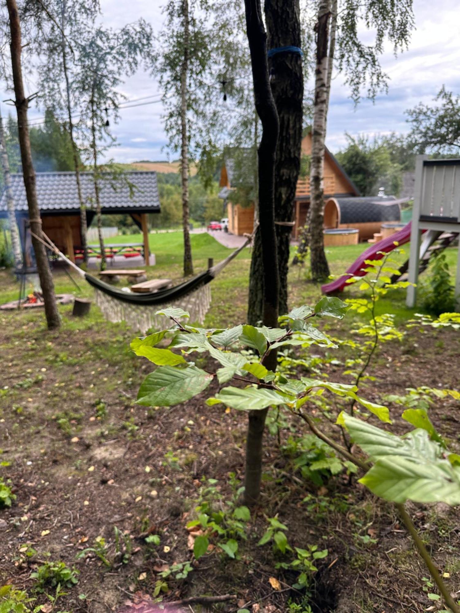 Grabnik55 *
